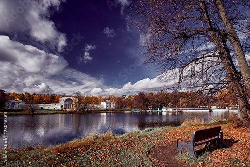 Autumn park landscape. Lonely bench in the autumn park among the trees and dry leaves in the estate Vlachernae Kuzminki in the Natural-Historical Park Kuzminki photo