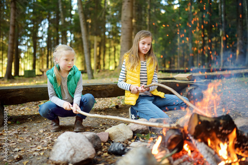 Cute little sisters roasting hotdogs on sticks at bonfire. Children having fun at camp fire. Camping with kids in fall forest.