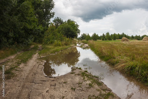 Road with puddle across the field. Landscape after rain with forest and overgrown field