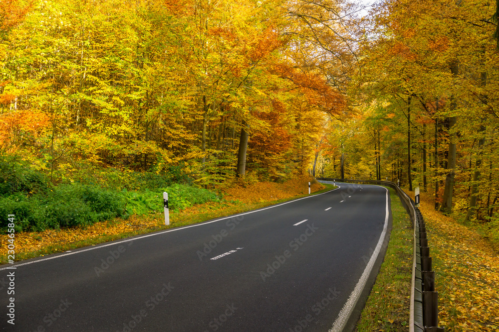 Leere Straße im Schwarzatal / Thüringen Leere Straße im Schwarzatal / Thüringen
