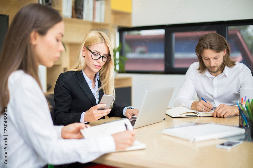 Fototapeta premium Young business team working in modern office