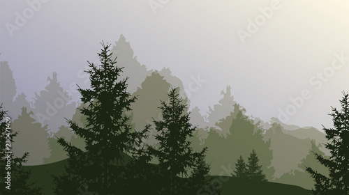 Foggy trees landscape background. Vector illustration.