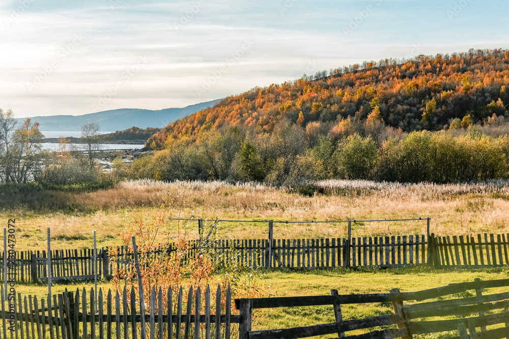 Obraz premium autumn in Kola Bay
