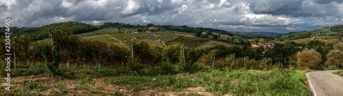 Rural panorama in Tuscany  Montespertoli  region of Florence