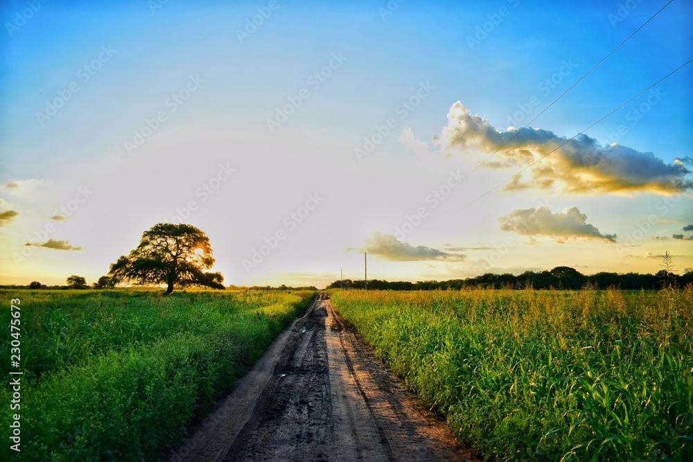 Obraz premium atardecer y caminos