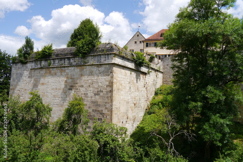 Festungsmauern im Wald Schloss Hohentübingen