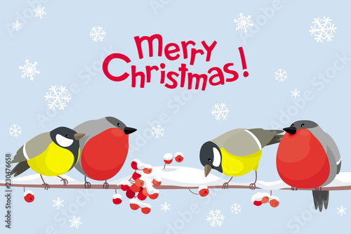 Vector Christmas birds