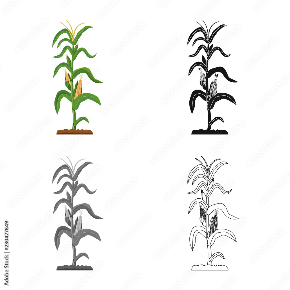 Isolated object of greenhouse and plant sign. Set of greenhouse and garden stock vector illustration.
