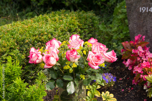 Wallpaper Mural Rosenstrauß Torontodigital.ca