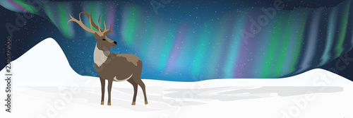 A wild reindeer stands in a snowy northern valley and looks at the northern lights in the night sky. Realistic Animals USA, Canada, Russia and Scandinavia. Vector landscape