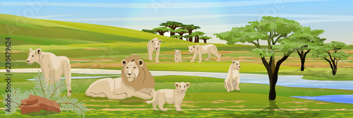 Pride of a lion, three lionesses and their cubs in the African savannah. River, baobabs and acacias, bushes of tropical plants. Wildlife of Africa. Realistic Vector Landscape