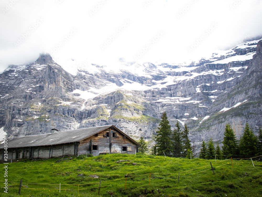 Dairy Barn in Swiss Alps