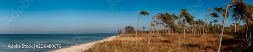 Panorama vom Weststrand auf dem Darß © crimson
