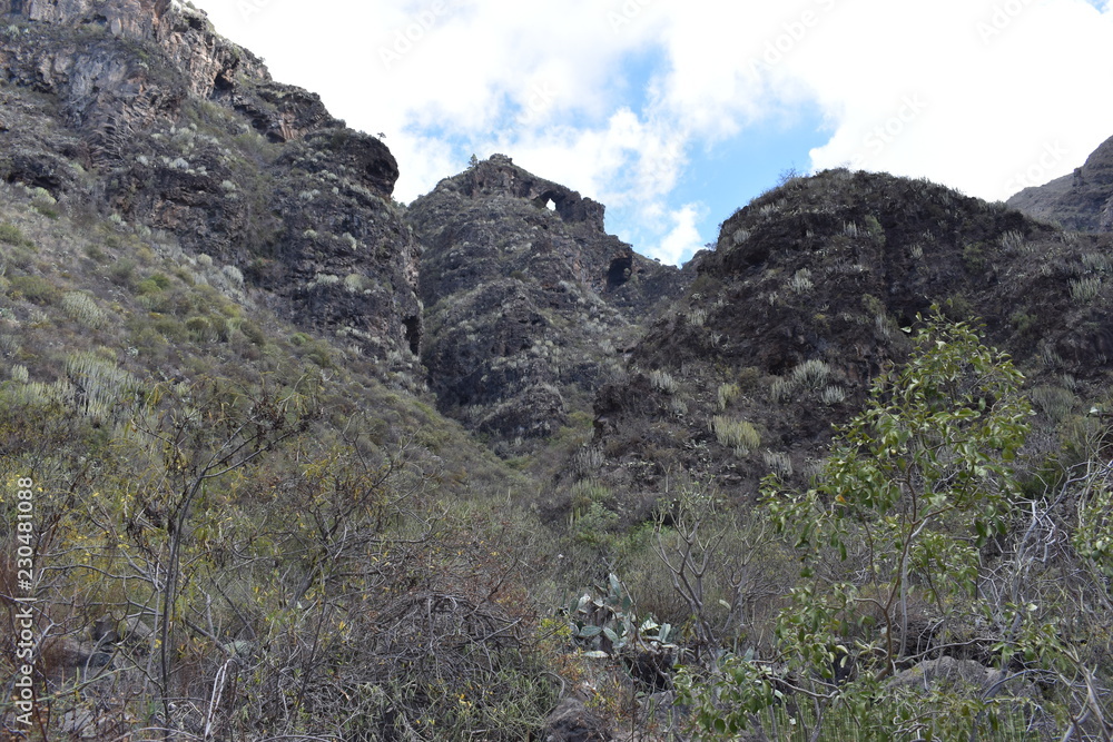 Fototapeta premium Hiking trail at the famous canyon Barranco del Infierno in Adeje in the South of Tenerife, Europe