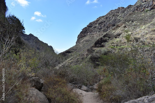 Hiking trail at the famous canyon Barranco del Infierno in Adeje in the South of Tenerife, Europe