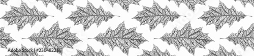 panorama pattern dry in black and white oak leaves