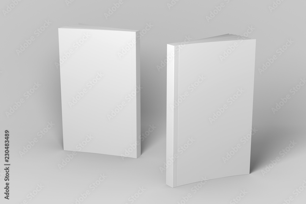 Two standing soft cover 3D illustration mock-up books. Two standing soft cover 3D illustration mock-up books.
