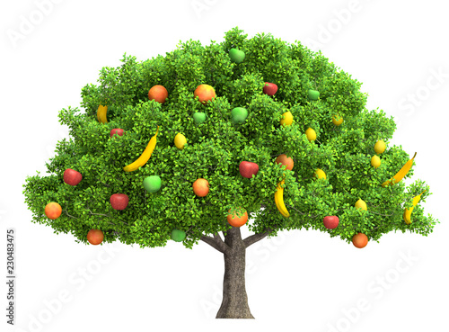 Valokuvatapetti fruit tree isolated on white 3D illustration