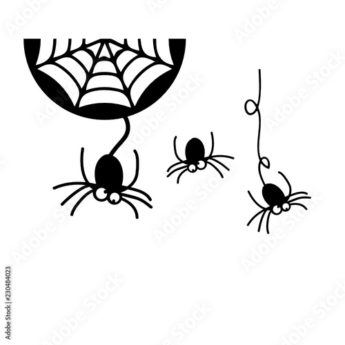 Spiders