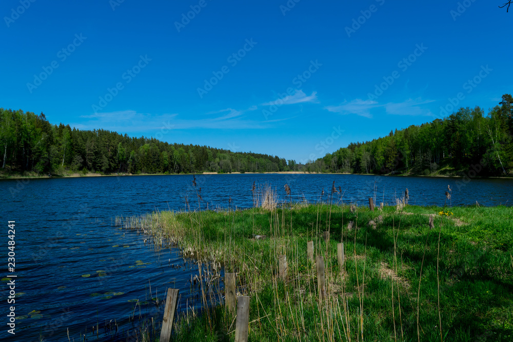 Beautiful view of the lake. Beautiful view of the lake.