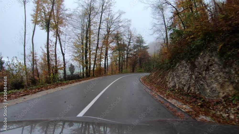Driving in a fogged autumn road Driving in a fogged autumn road