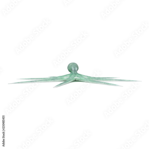 Large Blue Ocopus On White Background. 3D Illustration, isolated © 2dmolier