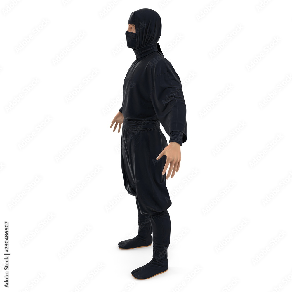 Ninja Standing Pose On White Background. 3D Illustration, isolated