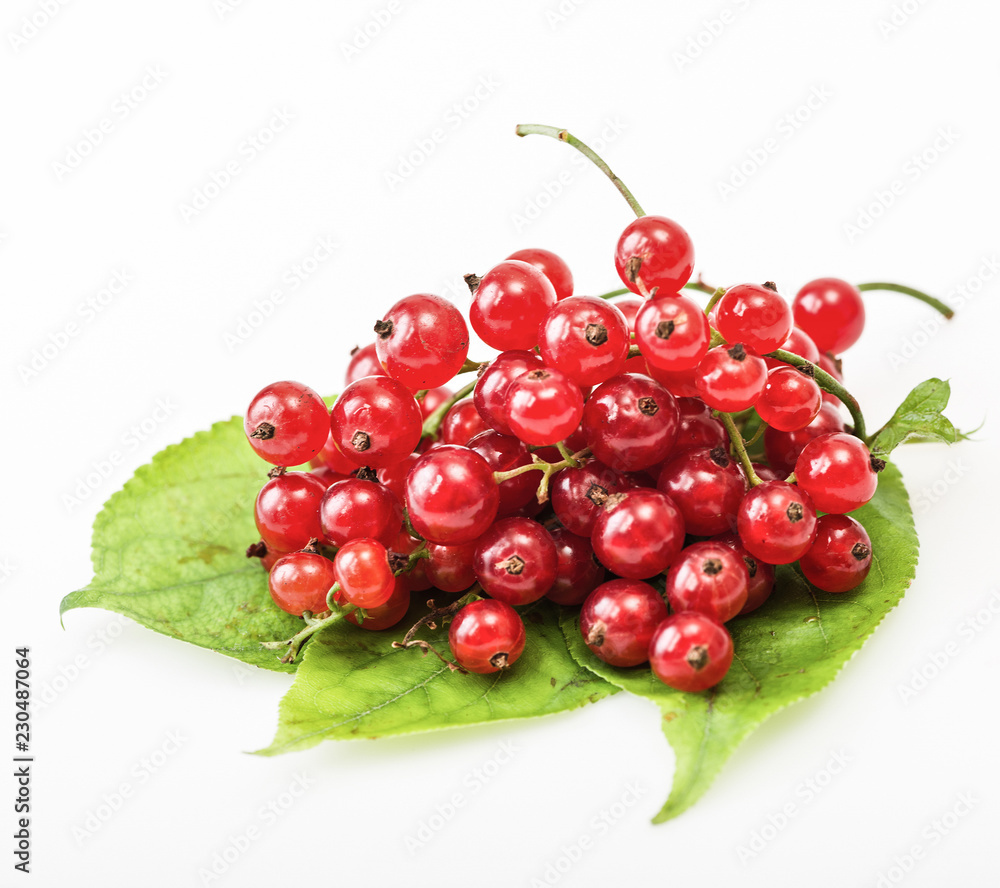 Red Currant on green leaves on white background Red Currant on green leaves on white background