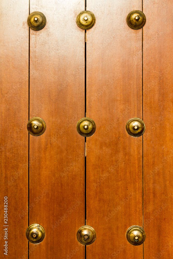Detail of a Spanish wooden door with brass decorations. Detail of a Spanish wooden door with brass decorations.