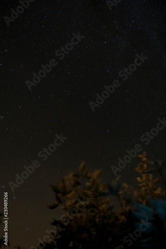 Sternenhimmel über dem Darß mit Milchstraße © crimson