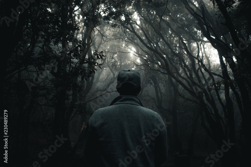 tenerife, Tenriffa, Hiking, green, urlaub, wandern, landscapes,  tree, cloud, view, trip, sky, sunset, nuture, sun, mountains, adventure, sea, sand, blue, water, outdoor, wave,