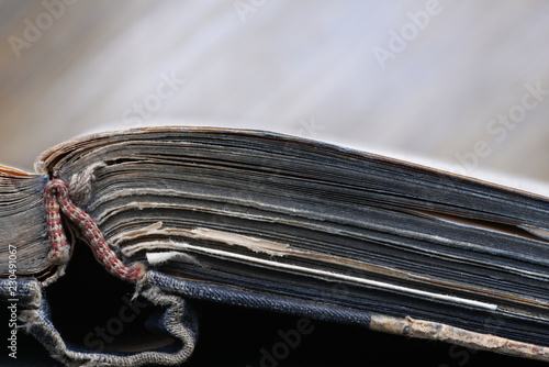 Opened book close-up with blurred background