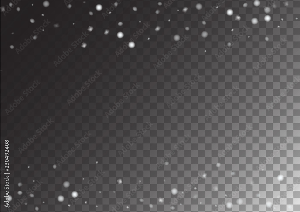 Winter Snowfall Ice Texture Vector Transparent Background. Realistic Snow Confetti Falling Down, Isolated Snowflake Scatter. Random Moving Realistic Snow Confetti, Christmas New Year Frost Decoration. Winter Snowfall Ice Texture Vector Transparent Background. Realistic Snow Confetti Falling Down, Isolated Snowflake Scatter. Random Moving Realistic Snow Confetti, Christmas New Year Frost Decoration.