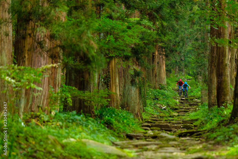 People mountain biking in Japan People mountain biking in Japan