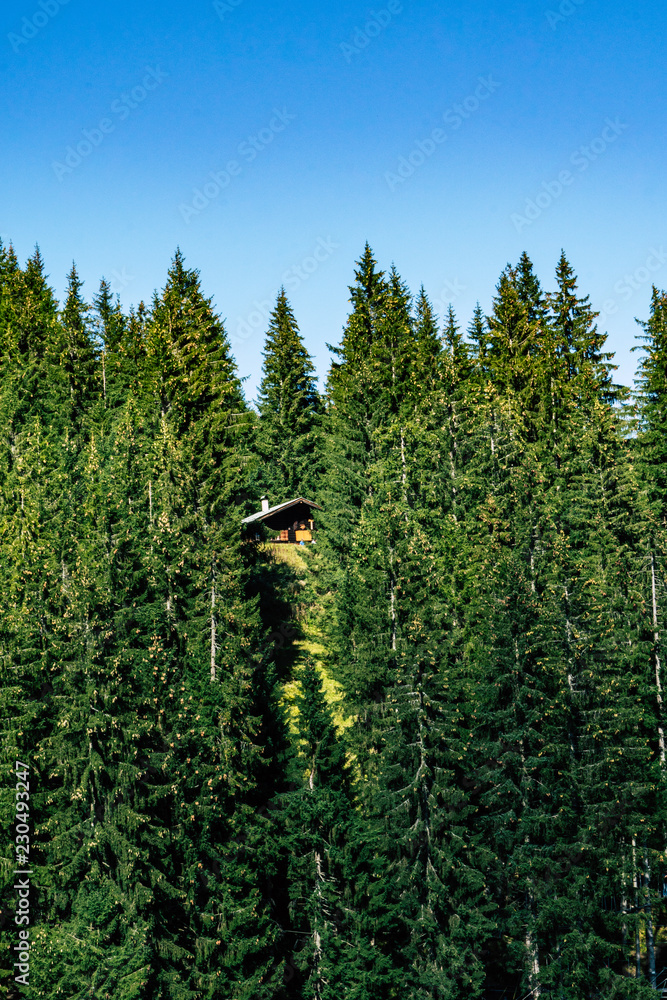 Naklejka premium hut in the mountains