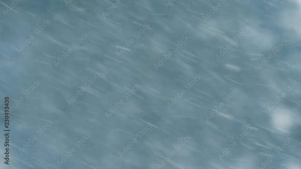 falling snow and strong wind, blurred background.