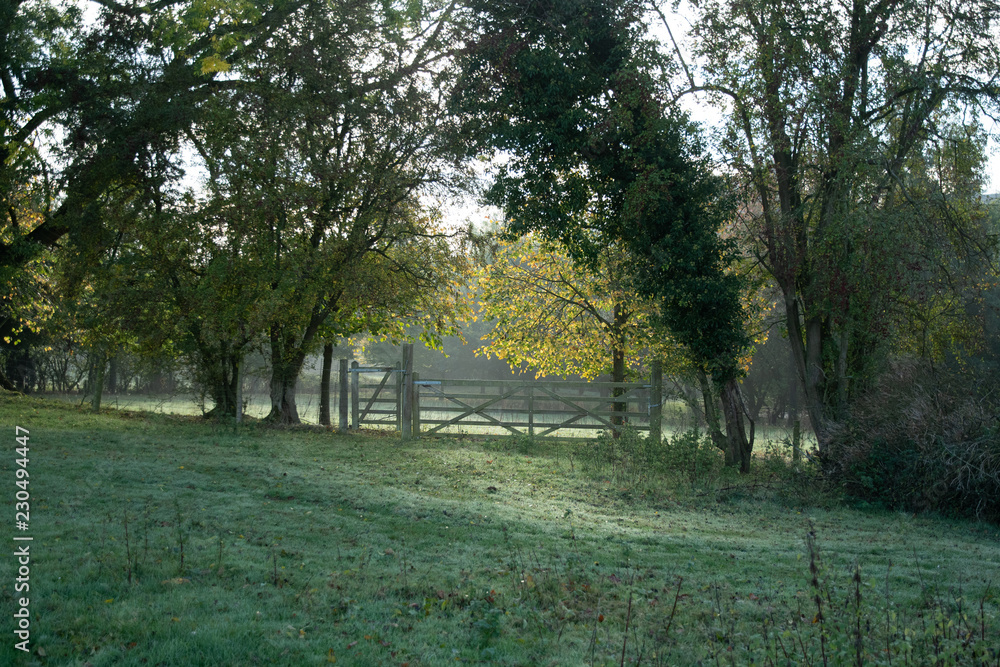 Gate, trees and field in autumn morning light near Shenington, Oxfordshire, England Gate, trees and field in autumn morning light near Shenington, Oxfordshire, England