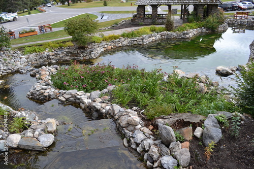 water, ponde trees, landscape, garden photo