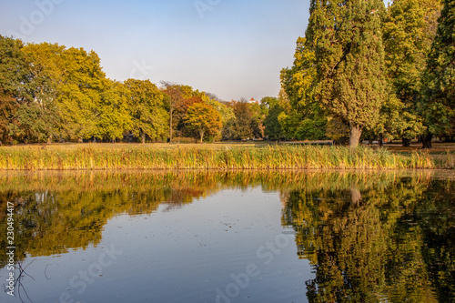 Fototapeta Naklejka Na Ścianę i Meble -  Wundervolle Herbstansicht mit Alleen,Teich ,Brücke und bunt gefärbten Bäumen und Blättern in Leipzig