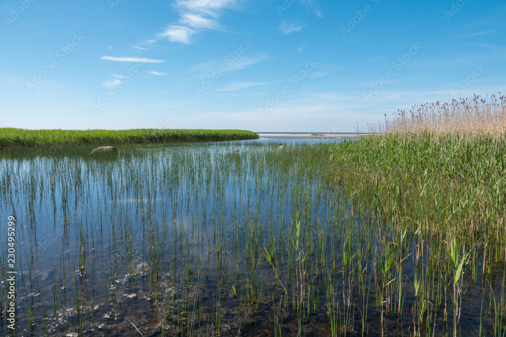 Shallow lake near the shore of the sea