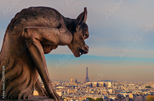 Chimère de Notre-Dame regardant la tour Eiffel photo