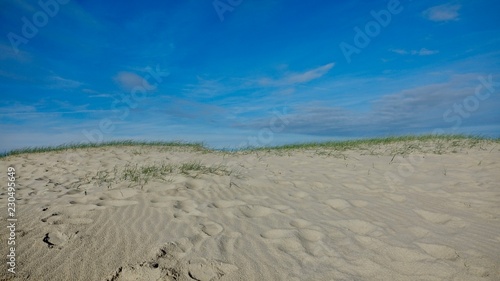 Dünenlandschaft am Meer in Zeeland, Niederlande