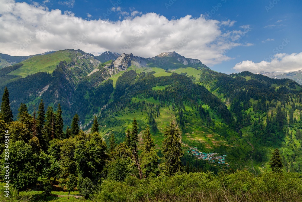 Paysage du nord de l'Inde à Manali proche de l'Himalaya