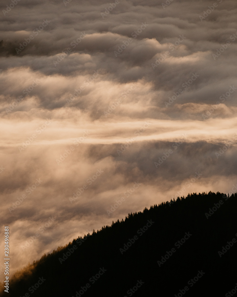 Hill filled with trees surrounded by clouds Hill filled with trees surrounded by clouds