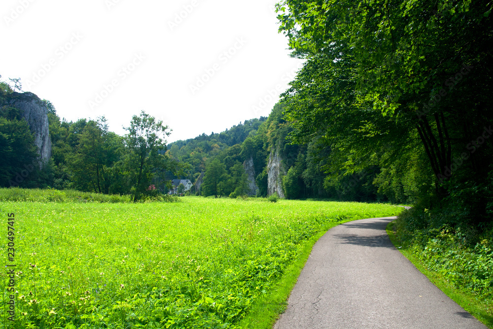 Road through Ojców Valley