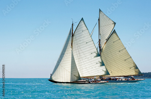 Sailing yacht regatta. Yachting. Sailing © Alvov
