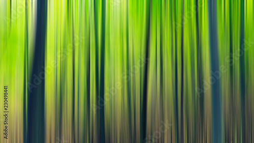 green forest in motion 