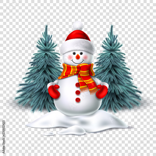 Vector cute realistic snowman in mittens scarf hat