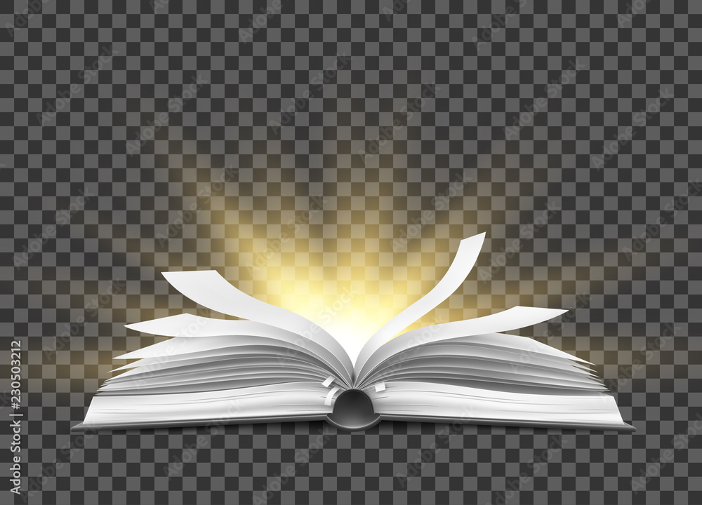 Fototapeta premium Vector realistic open book with fluttering pages