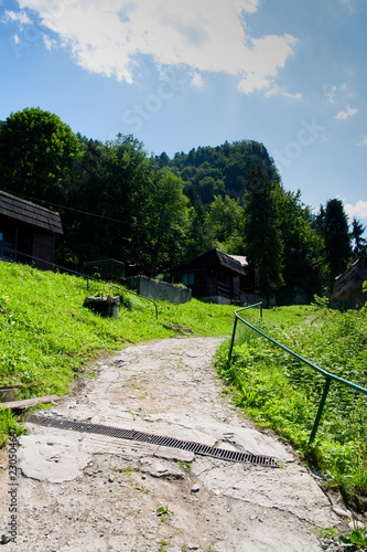 Fototapeta Naklejka Na Ścianę i Meble -  Landscape of Pieniny mountains